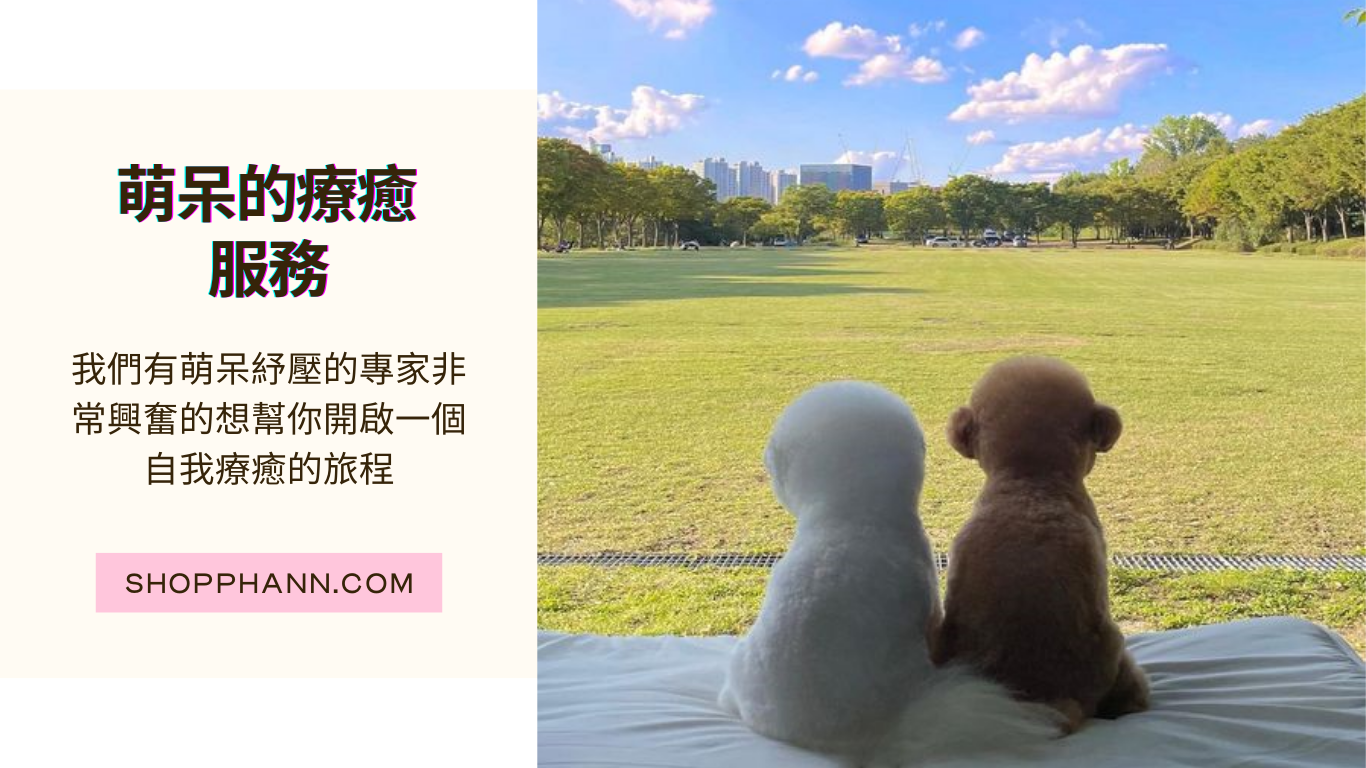 尚啪的店 萌呆的療育服務 shopphann.com